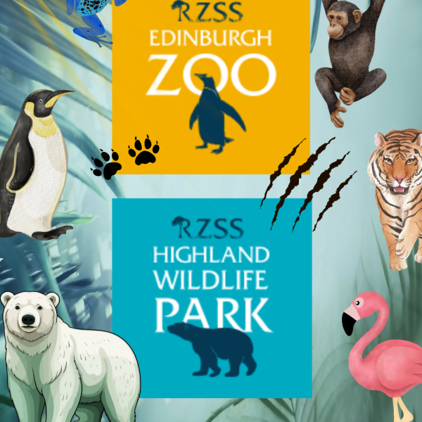 Annual Membership to RZSS Highland Wildlife Park/Edinburgh ZOO