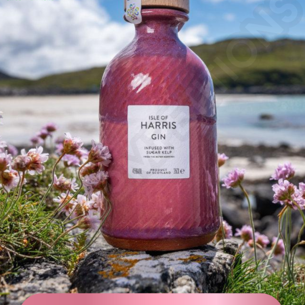 ilse of Harris Gin: sea Thrift Pink
