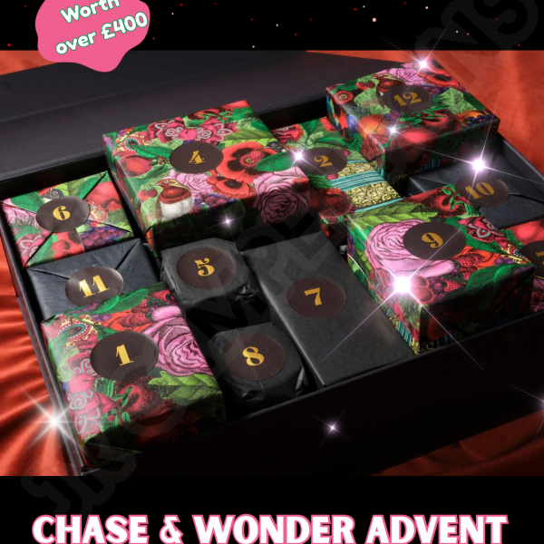Chase & Wonder Advent Calendar (limited ed)