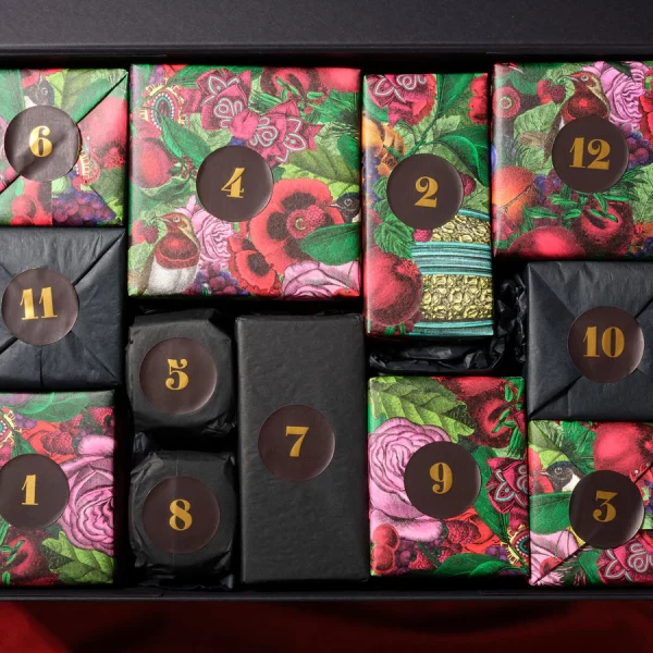 Chase & Wonder Advent Calendar (limited ed)